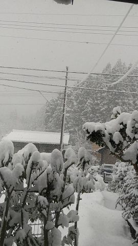 日本海　雪